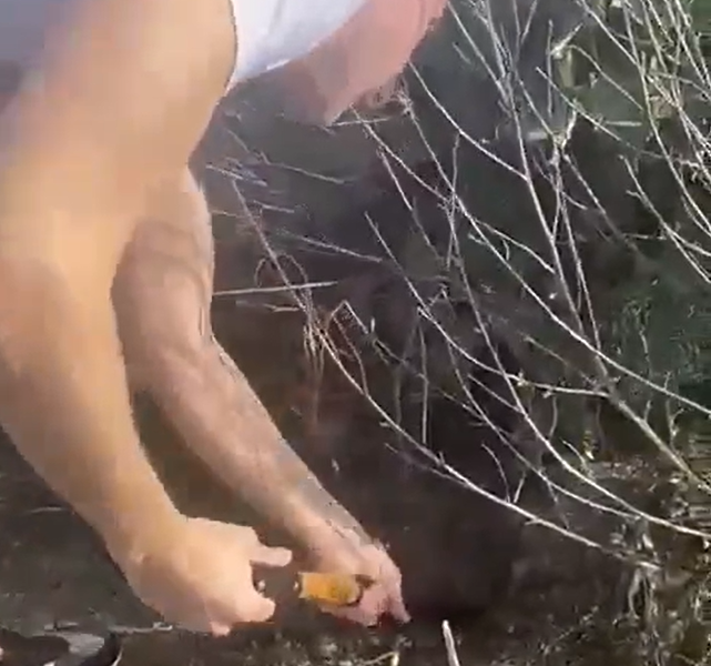 cogiendo tierra para mesa de cultivo