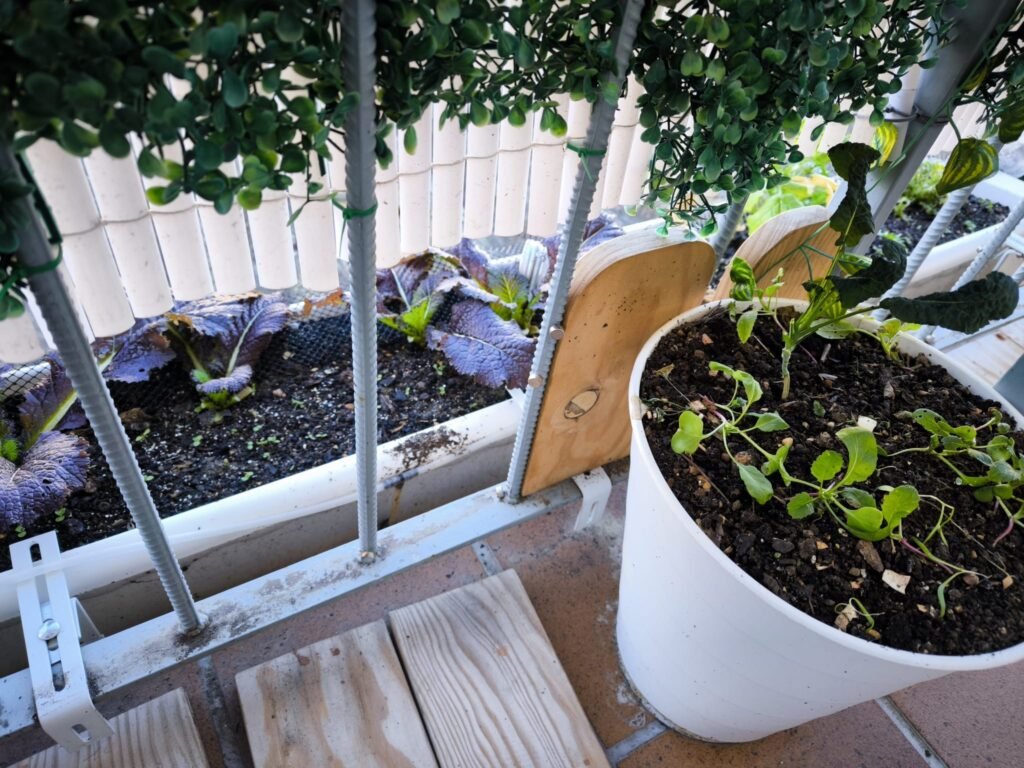cómo hacer una minihuerta en mesa de cultivo