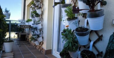 🏗️ ¿Cuánto Cuesta Hacer un Huerto Urbano? 🏗️ Guía Completa para hacer tu Presupuesto 12 cuánto cuesta cultivar en mi azotea