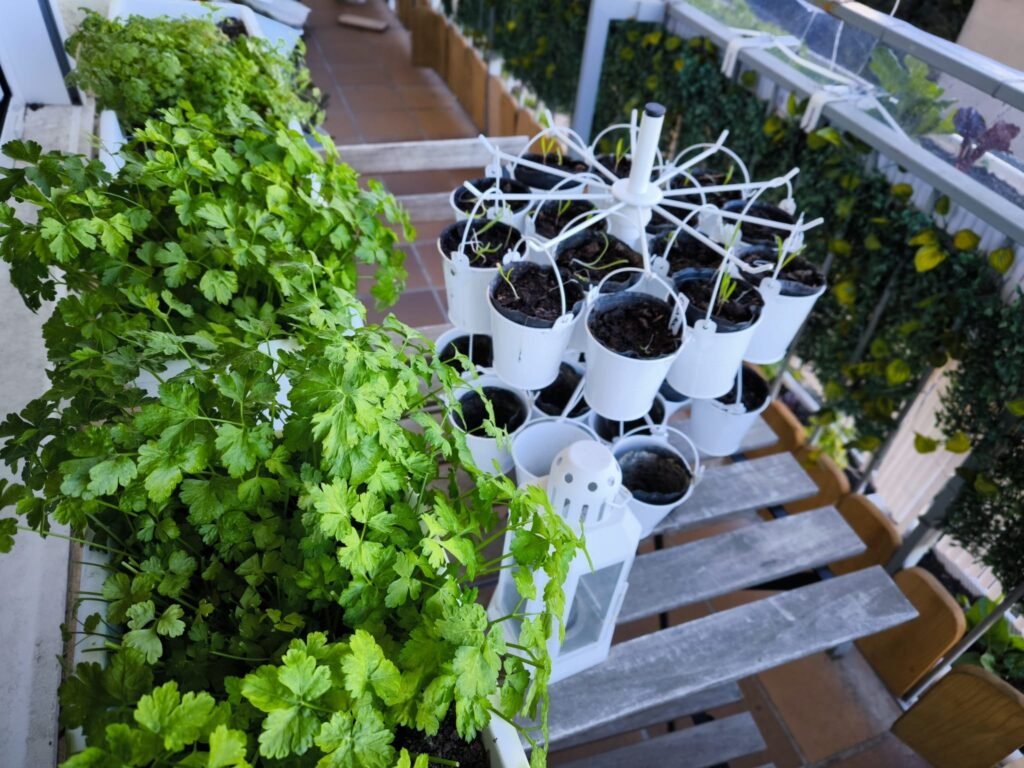 cultiva huerto de mesa
