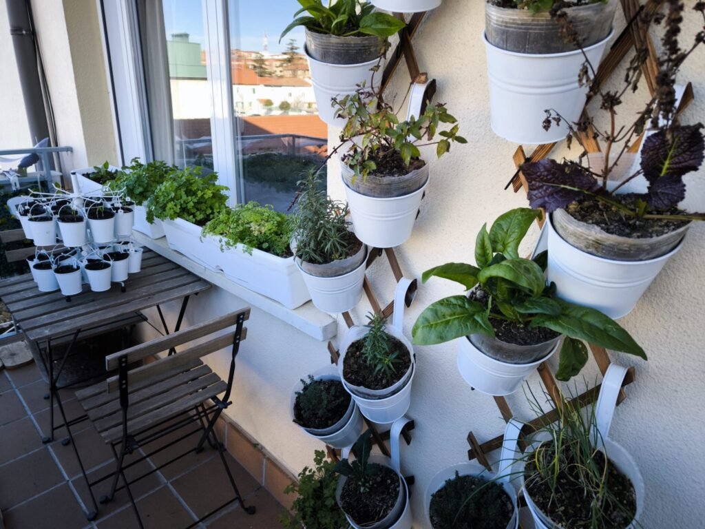qué plantar huerto en mesa de cultivo