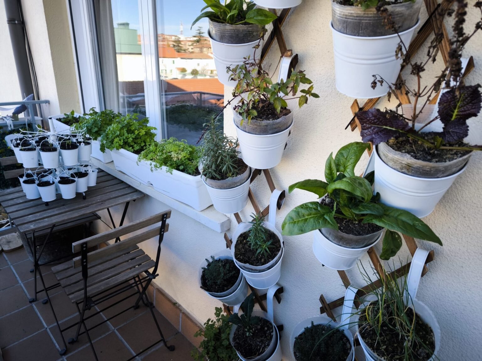 Todo Sobre Plantas Arom ticas Y Huertos Urbanos Productivos En Invierno todo-sobre-plantas-arom-ticas-y-huertos-urbanos-productivos-en-invierno