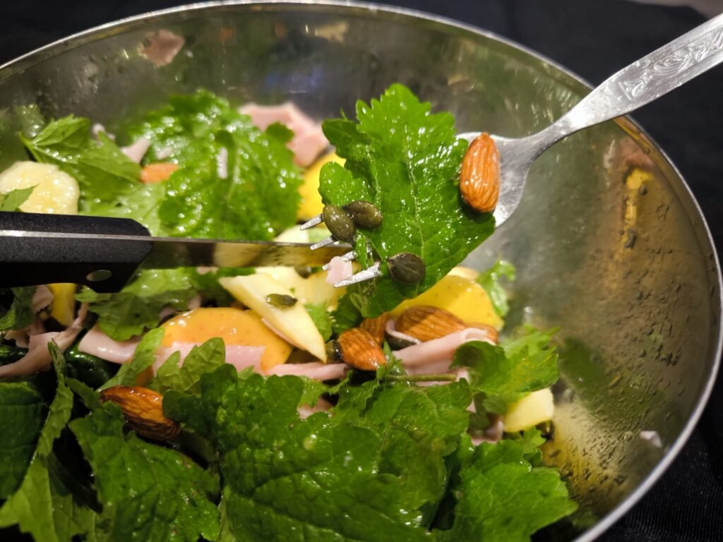🥬 Receta de Ensalada de Hojas de Mostaza Blanca: de mi Huerto a la Mesa 🥬 21 ensalada de hojas verdes de mostaza común