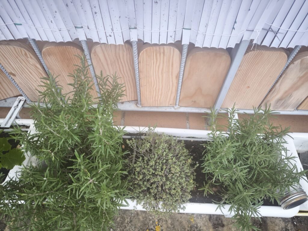 🥬 Tu Mesa de Cultivo en Otoño-Invierno 🥬 13 mesa de cultivo en invierno