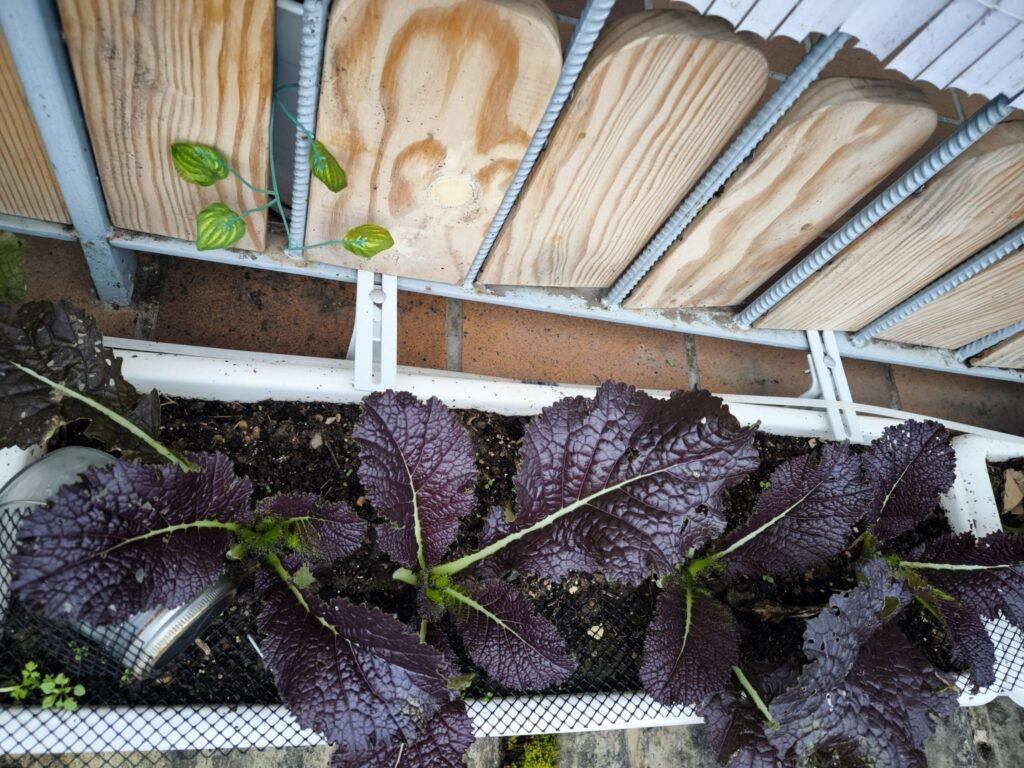 🥬 Tu Mesa de Cultivo en Otoño-Invierno 🥬 15 mesa de cultivo invierno en casa