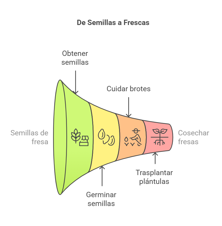 Cómo cultivar fresas desde la semilla