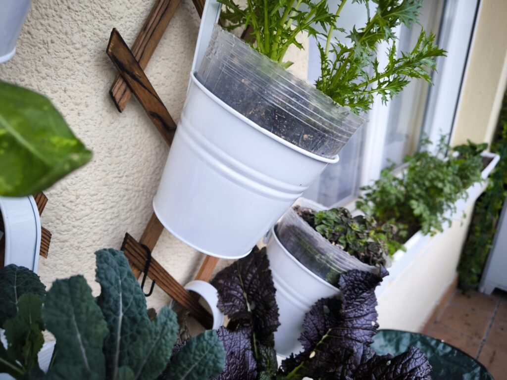 cómo tener un huerto vertical en casa