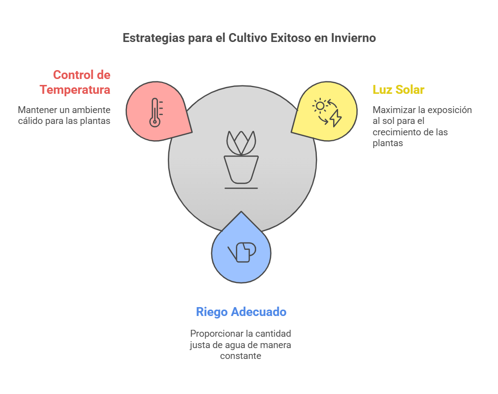 🧅 Qué plantar en enero en maceta en el hemisferio norte: Guía completa para tu huerto urbano y mesa de cultivo 18 esquema para Sembrar en enero en maceta hemisferio norte