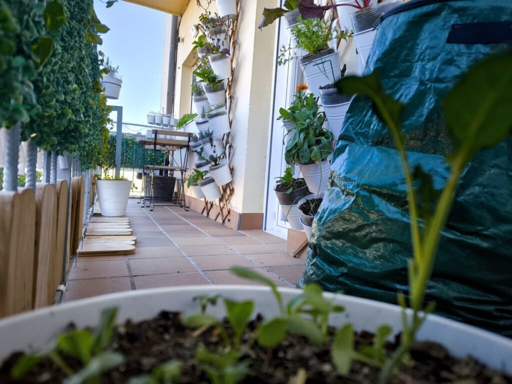Cómo Tener un Huerto en Casa ☀️ Guía Completa para Cultivar en Casa 25 huerta en casa