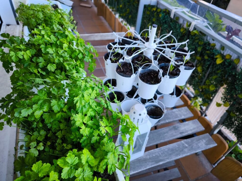 Cómo Tener un Huerto en Casa ☀️ Guía Completa para Cultivar en Casa 18 huerto en casa