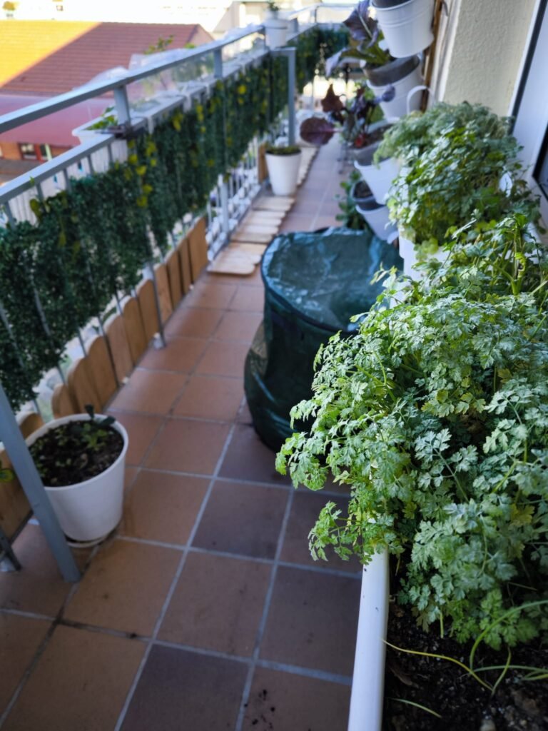Cómo Tener un Huerto en Casa ☀️ Guía Completa para Cultivar en Casa 24 huerto en casa