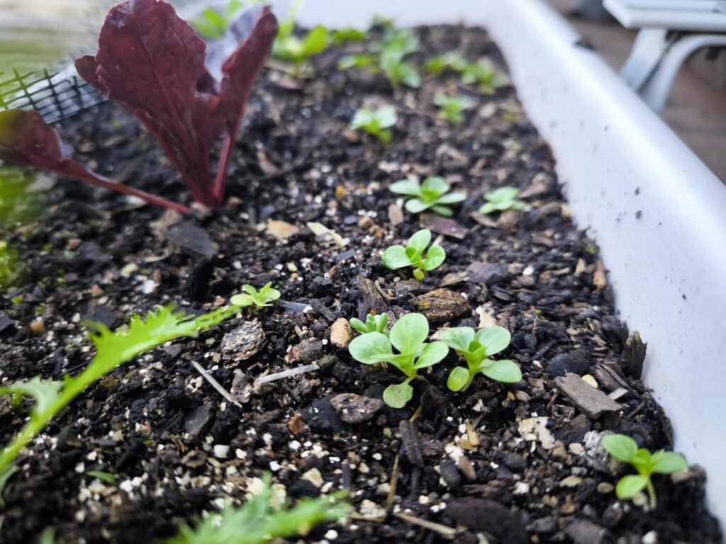 Beneficios de una mesa de cultivo barata