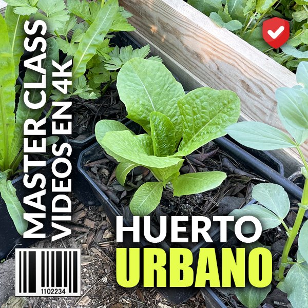 Curso Crea tu huerto urbano en macetas Mi Opinión