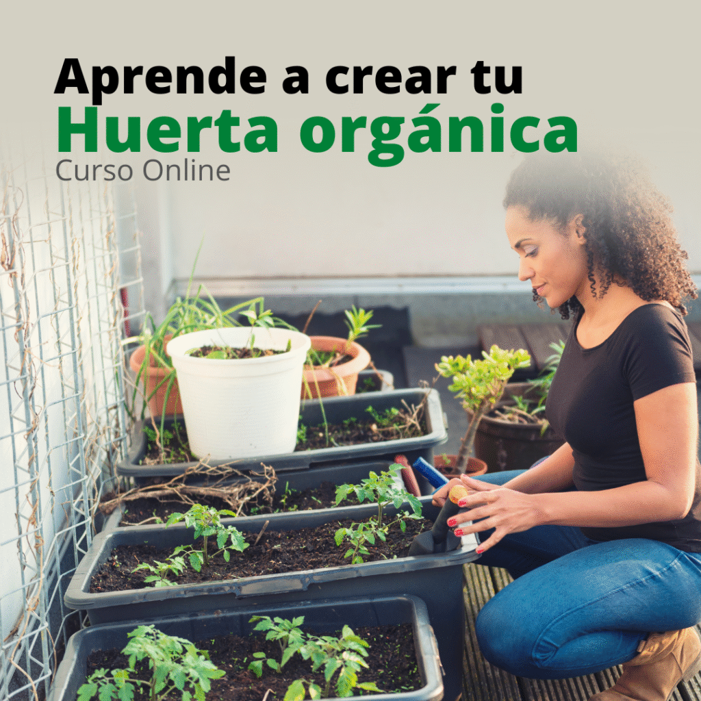 Curso Tu Huerta Orgánica de Educlases Opinion. Te cuento si funciona