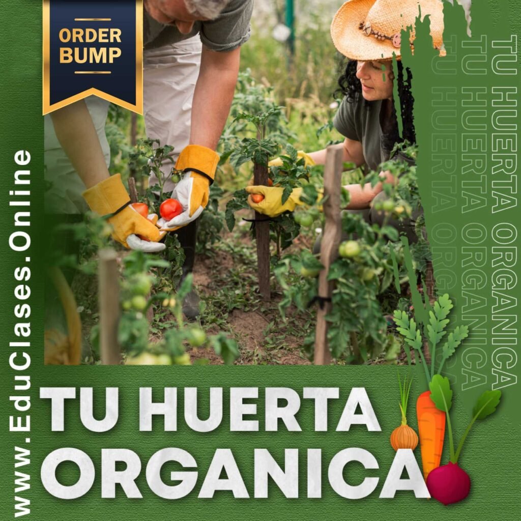 Curso de Educlases Tu Huerta Orgánica de Opiniones
