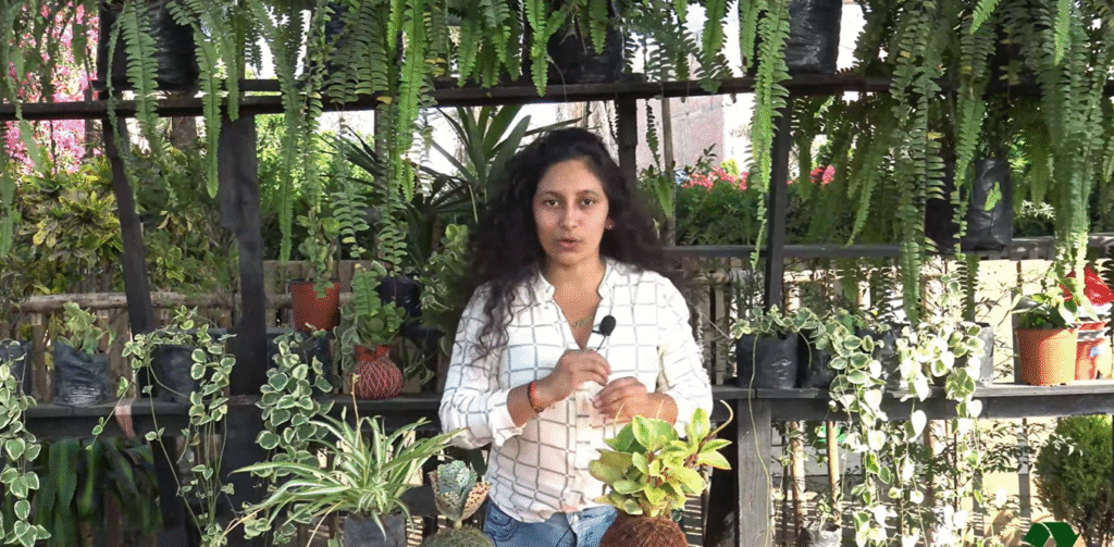 Curso de Jardinería de Q’umir Wasi. Opinión de alumnos