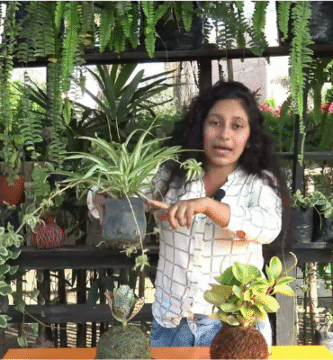 Curso de Jardinería de Q’umir Wasi. Opiniones de alumnos