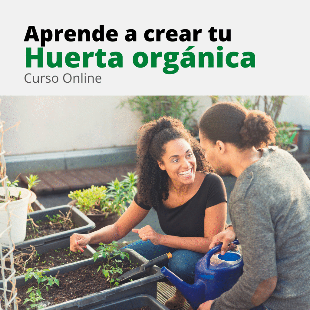 Formación Tu Huerta Orgánica de Educlases Opiniones