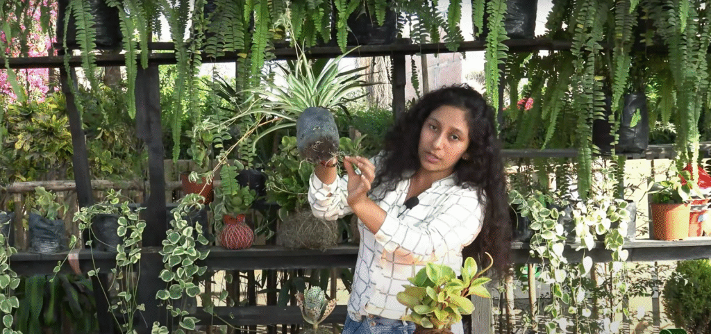 Formación de Jardinería de Q’umir Wasi. Opinión de alumnos