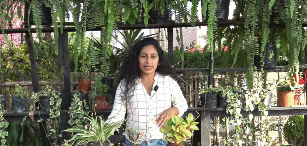 Opinión del Curso de Jardinería de Q’umir Wasi.