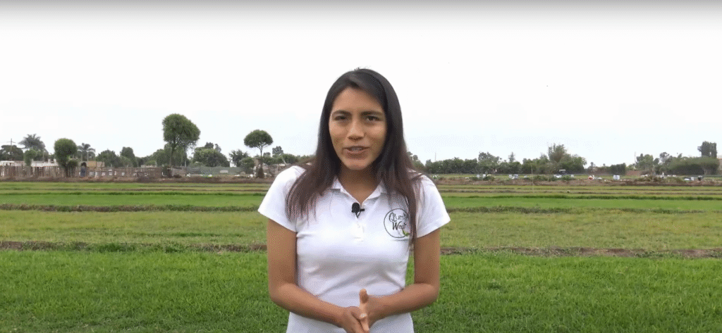 curso Huertos Orgánicos de Q’umir Wasi Opiniones