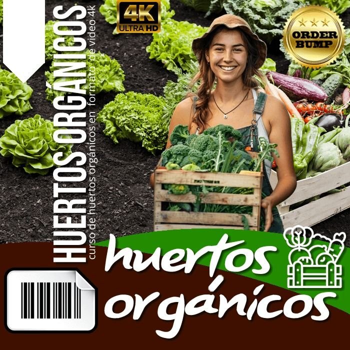 curso Huertos Orgánicos de Q’umir Wasi Review