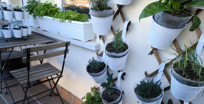 mejores recipientes de cultivo