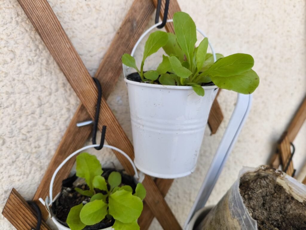 recipiente para criar plantas