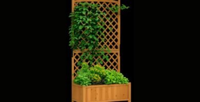 Ofertas de Black Friday Huerto Urbano 2025 2 huerto urbano black friday